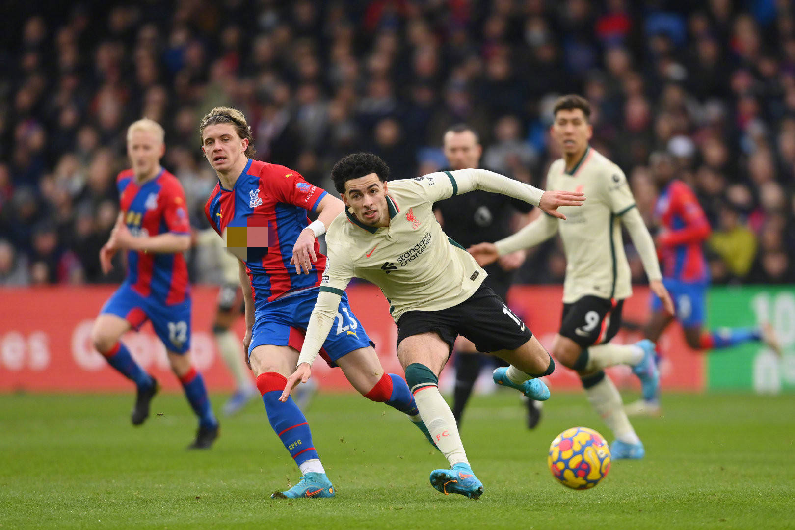 管理球员的 管理球员的